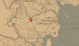 对峙2最新爆料地图攻略,揭秘最新爆料中的战略要地与战术布局